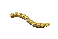 Serpentello bonus